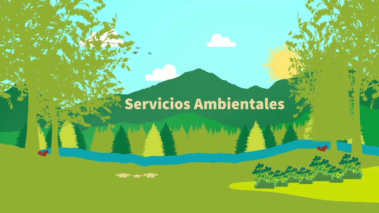 Conoce el Programa de Pago por Servicios Ambientales