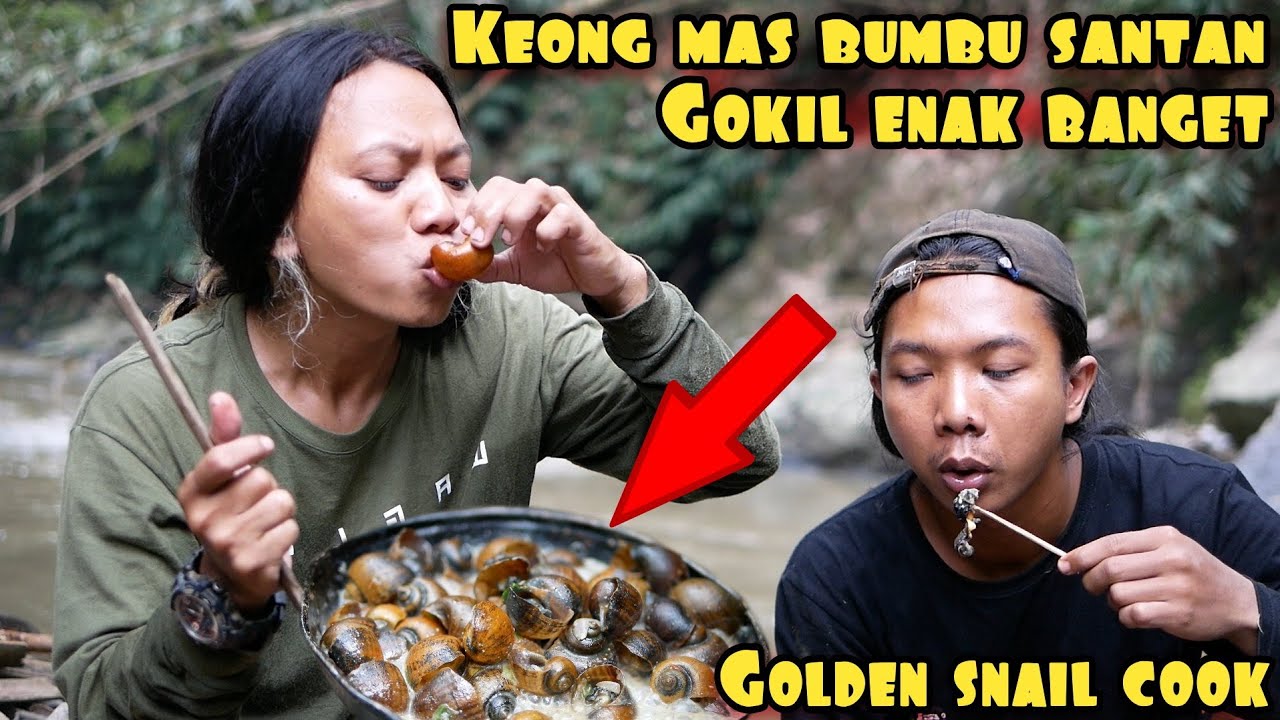 GOKIL MASAK KEONG MAS KUAH SANTAN RASANYA KEREN ABIS | GOLDEN SNAIL COOK