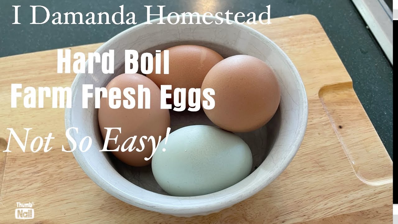 Hard boiling Farm Fresh Eggs, Comparing Methods!