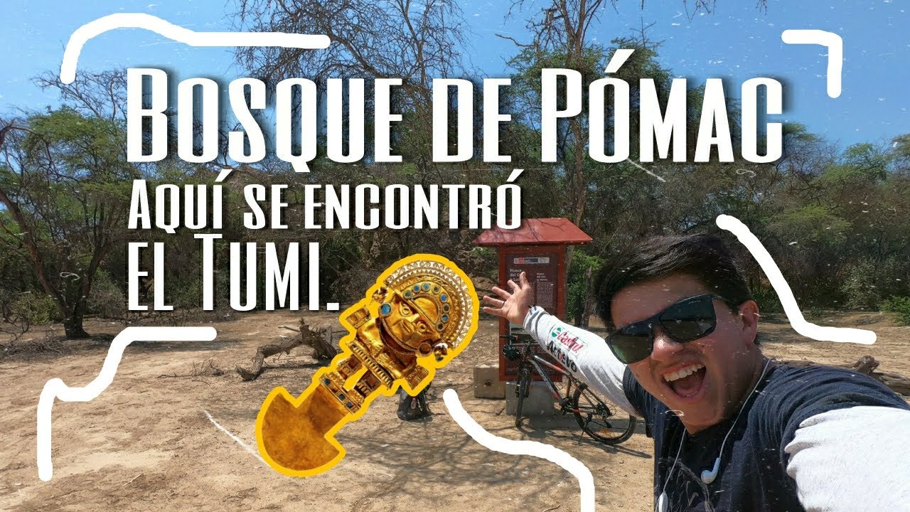 Bosque de Pómac en Bicicleta // Aquí descubrieron el TUMI!!