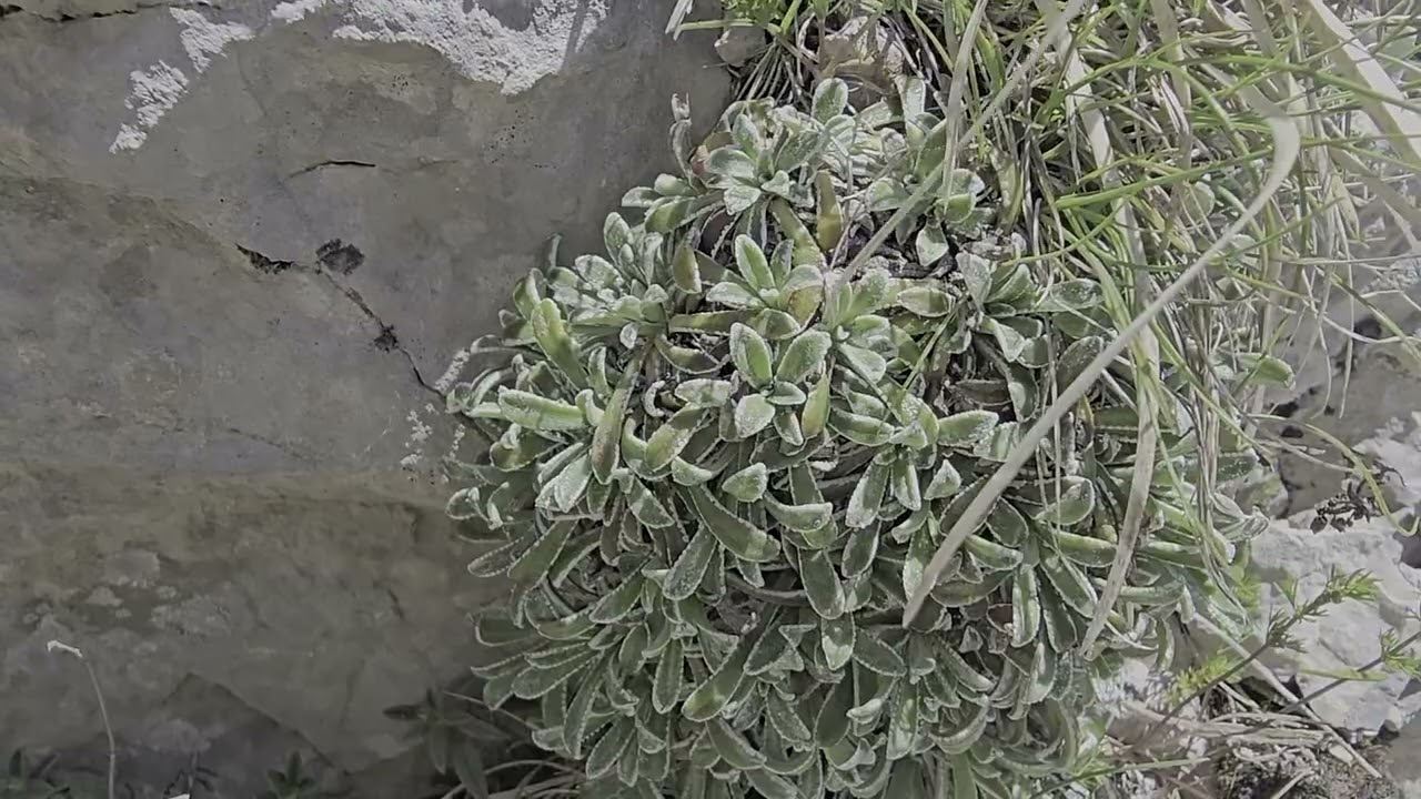 MONTE CAMICIA ABRUZZO ITALIA