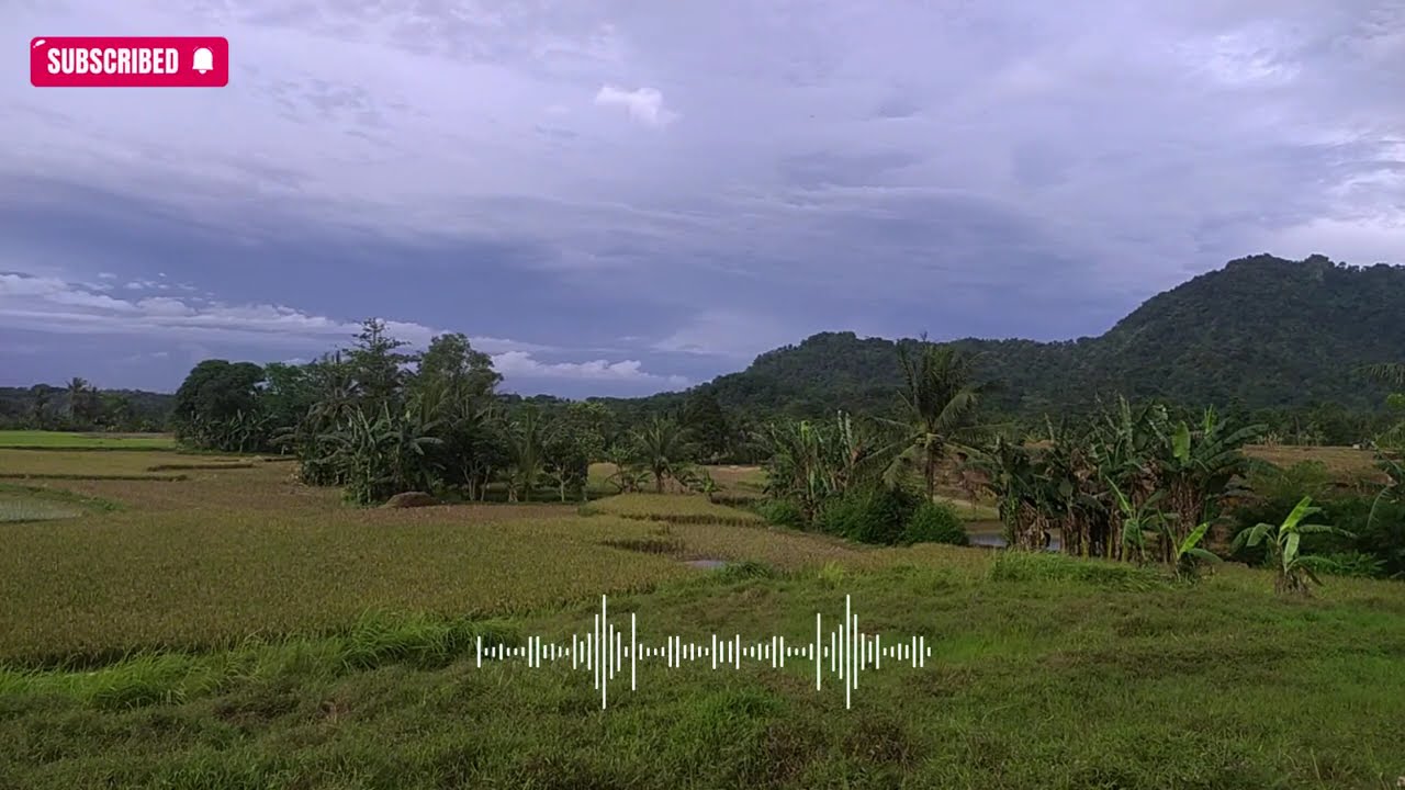 Iwan Fals Full Album ||  Ujung Aspal Pondok Gede