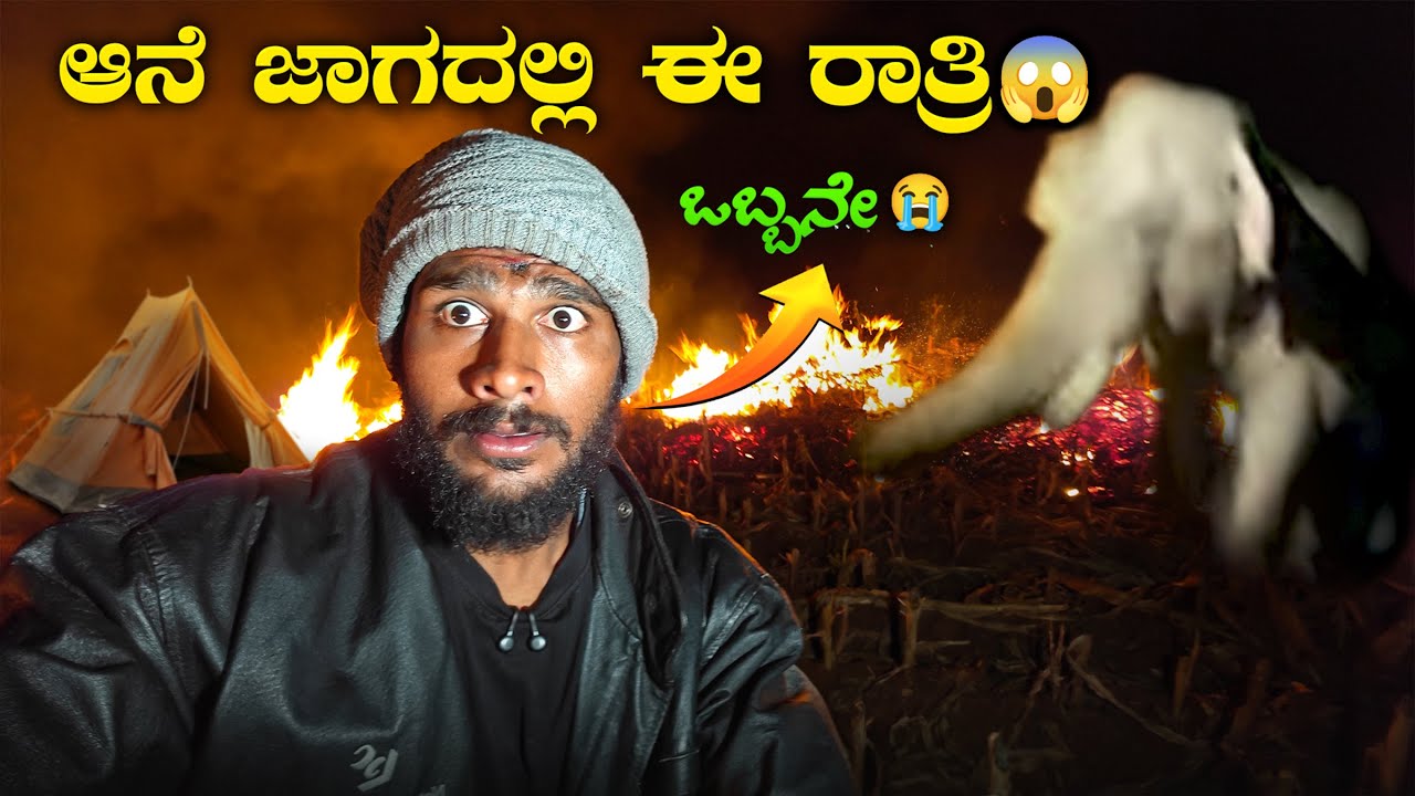 ಈ ರಾತ್ರಿ ಒಬ್ಬನೇ😭 | Solo Camping in Elephant Attack Place | Avatar Shiva Official