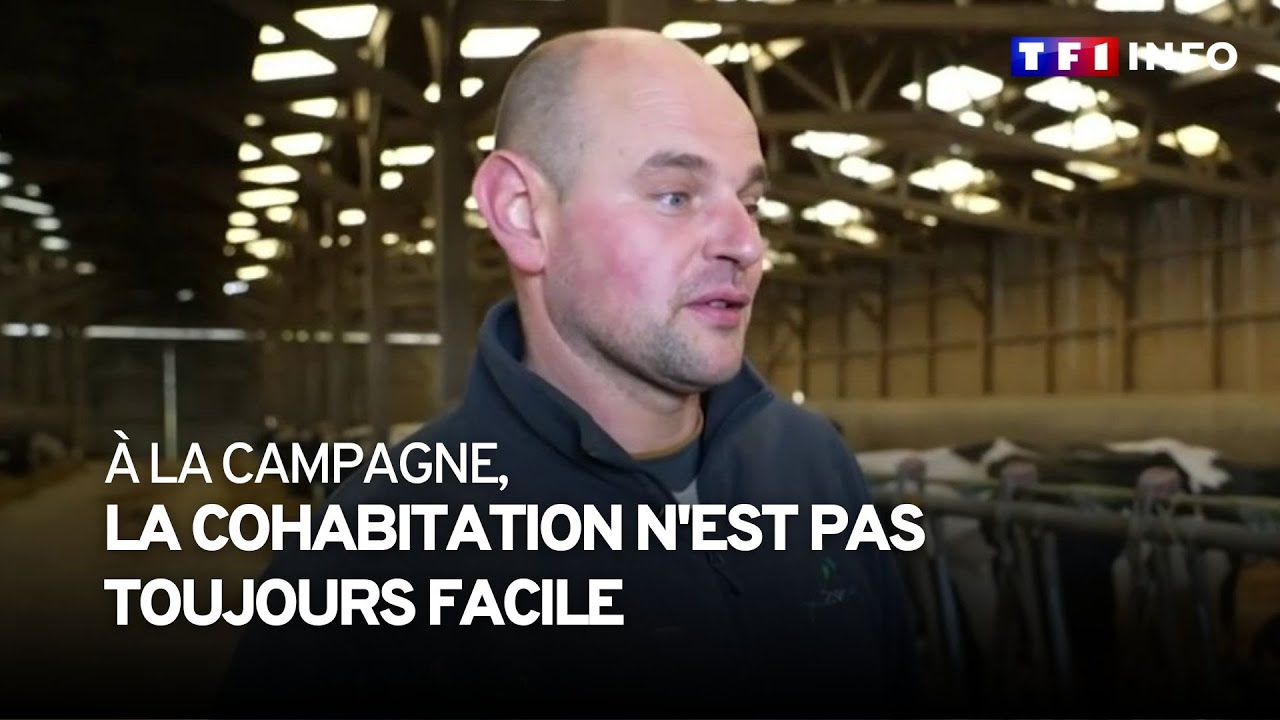 À la campagne, la cohabitation n'est pas toujours facile
