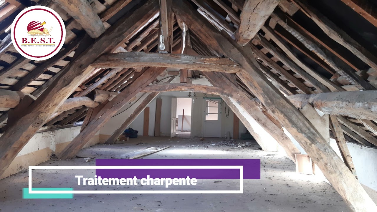 Traitement charpente pr&eacute;ventif