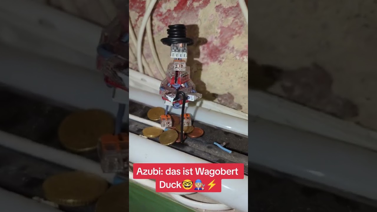 #elektrodaniels #elektrogott #azubi #azubine #ausbilder #lehrling #electrician #elektriker