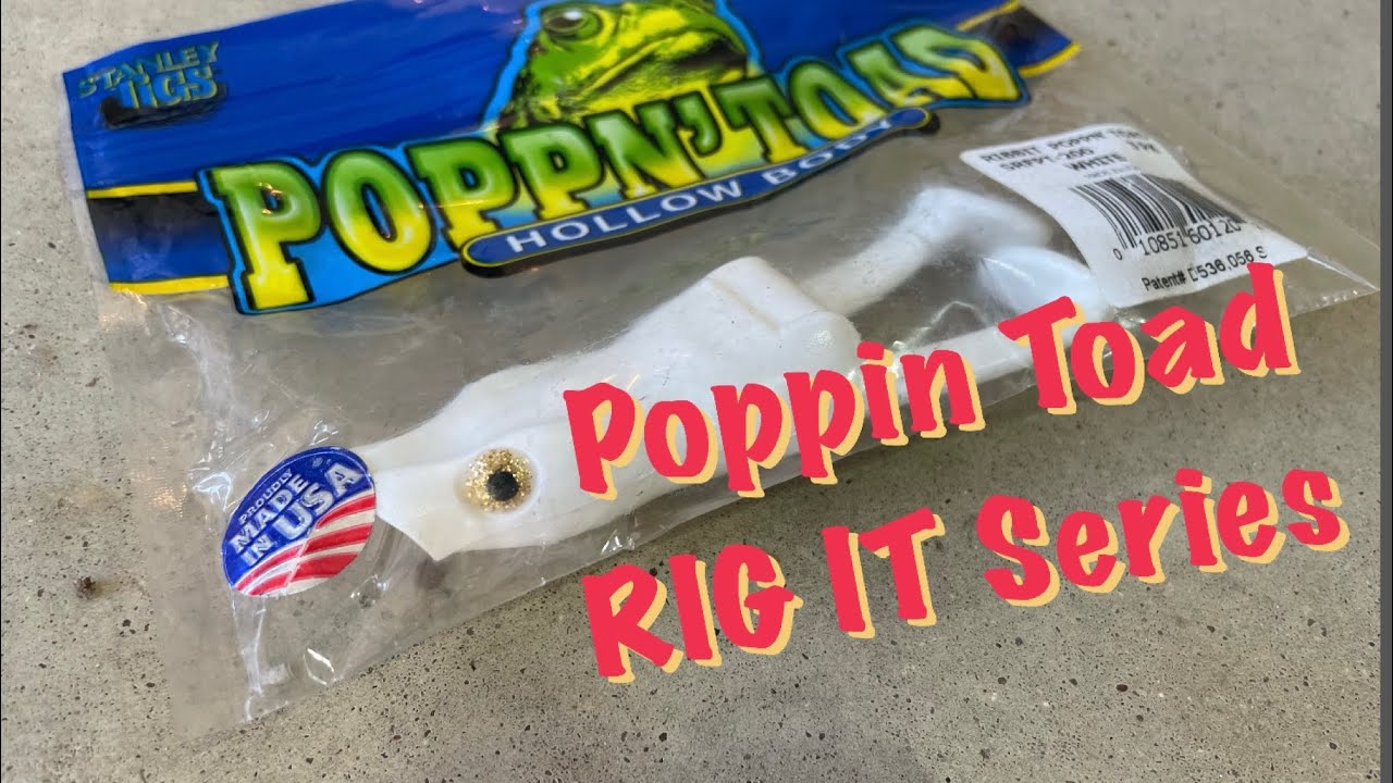 Poppin Toad 🐸 | Rig It Series #bassfishing #topwater #bassfishingvideo