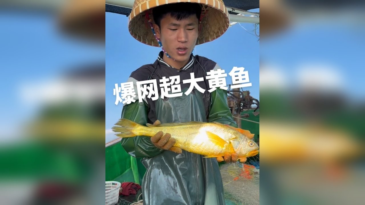 今天又是幸运的一天、抓到这么多条大黄鱼
