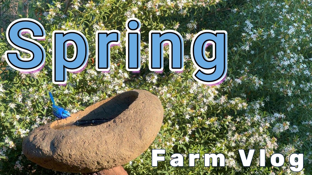 Spring on an Australian Farm: WWOOFING pt. 8
