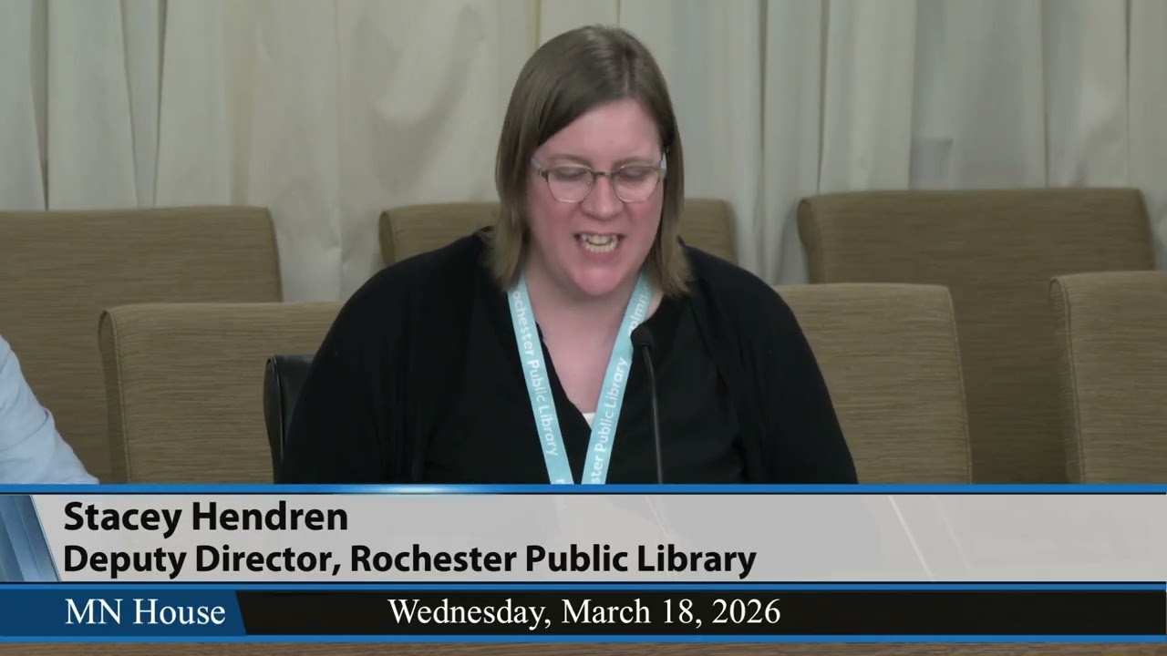 House Elections Finance and Government Operations Committee 3/18/26 - Afternoon Meeting