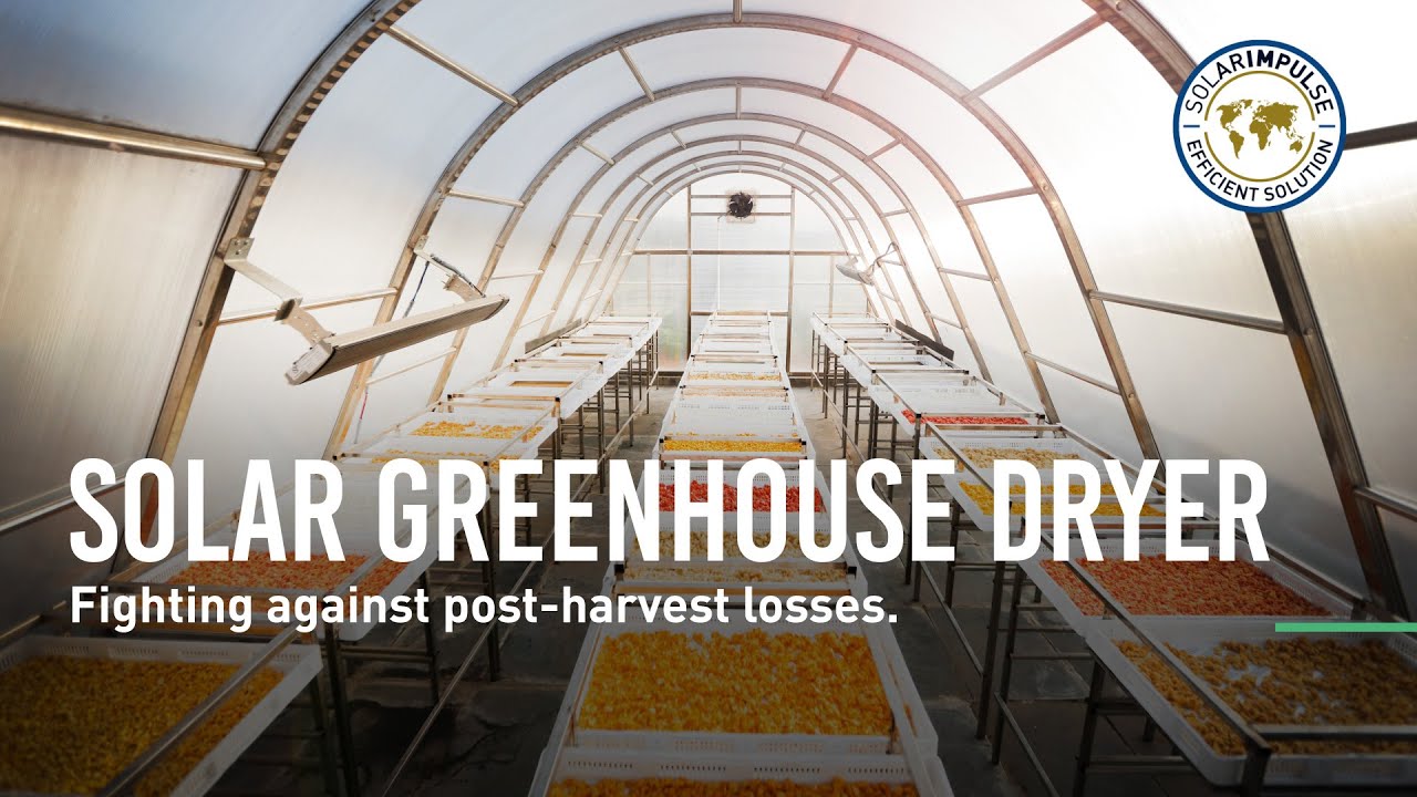 Solar Greenhouse Dryer - Fighting post-harvest losses - #1000solutions