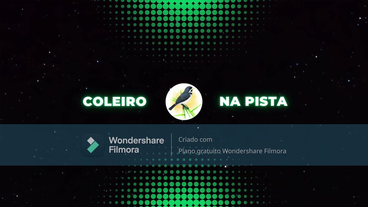 Canto Coleiro Tui Tui - COLEIRO NA PISTA