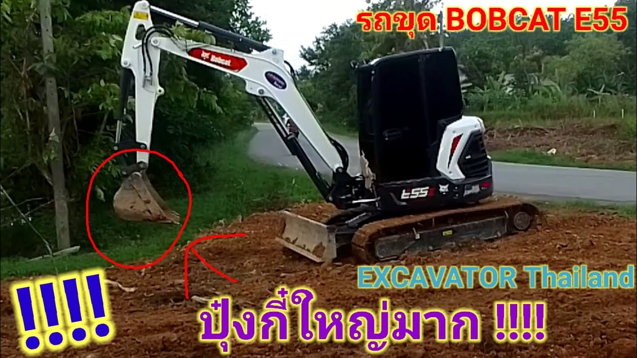 รถขุดขนาดเล็กสายขาว รถขุด BOBCAT บ๊อบแคท E55 งานถมดินปลูกทุเรียน