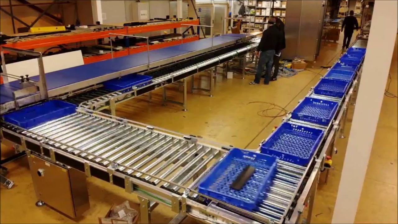 Automated Bakery Conveyor Line