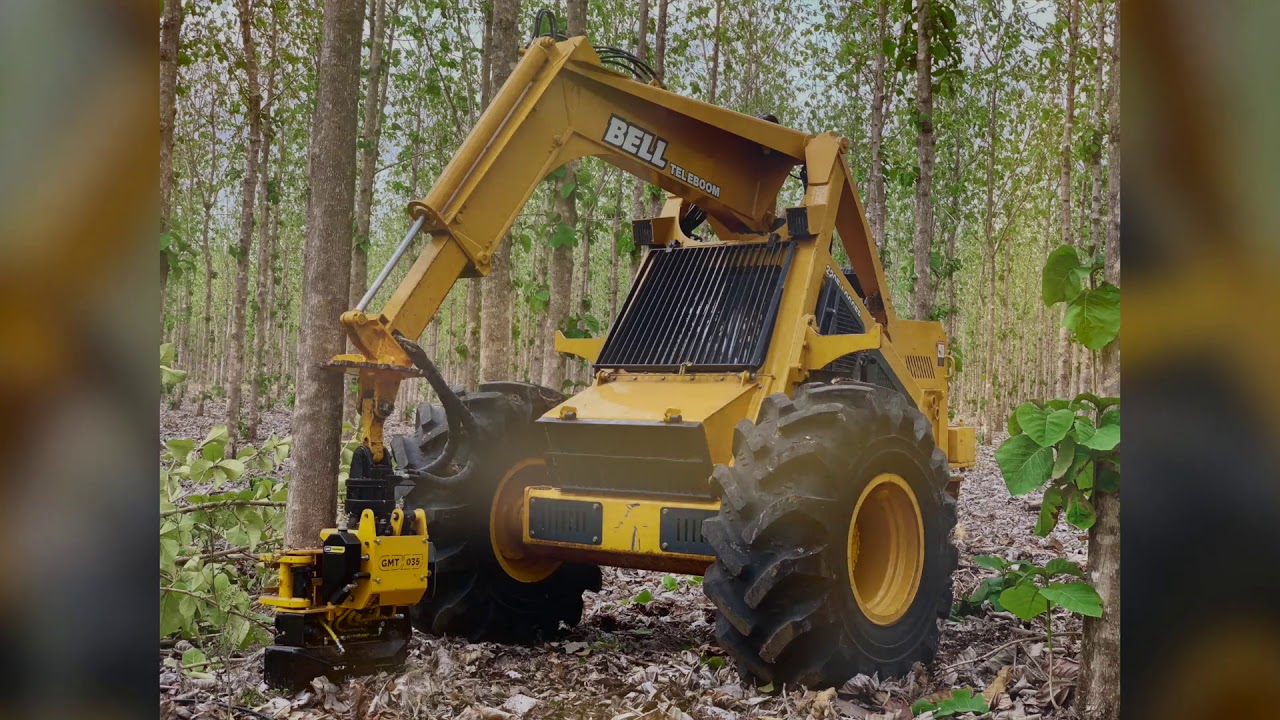 Teak Thinning - BELL Logger with GMT35 Felling Head.