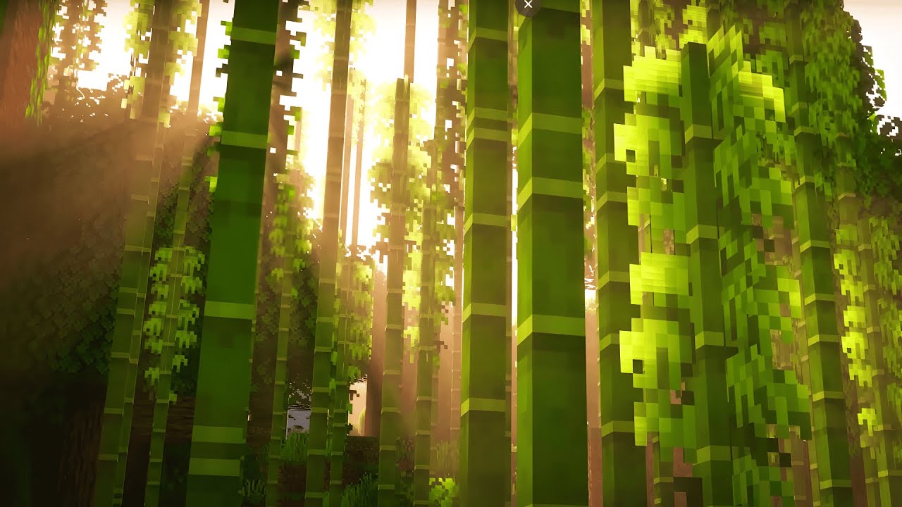 I Made This Minecraft Video For Biology Class...