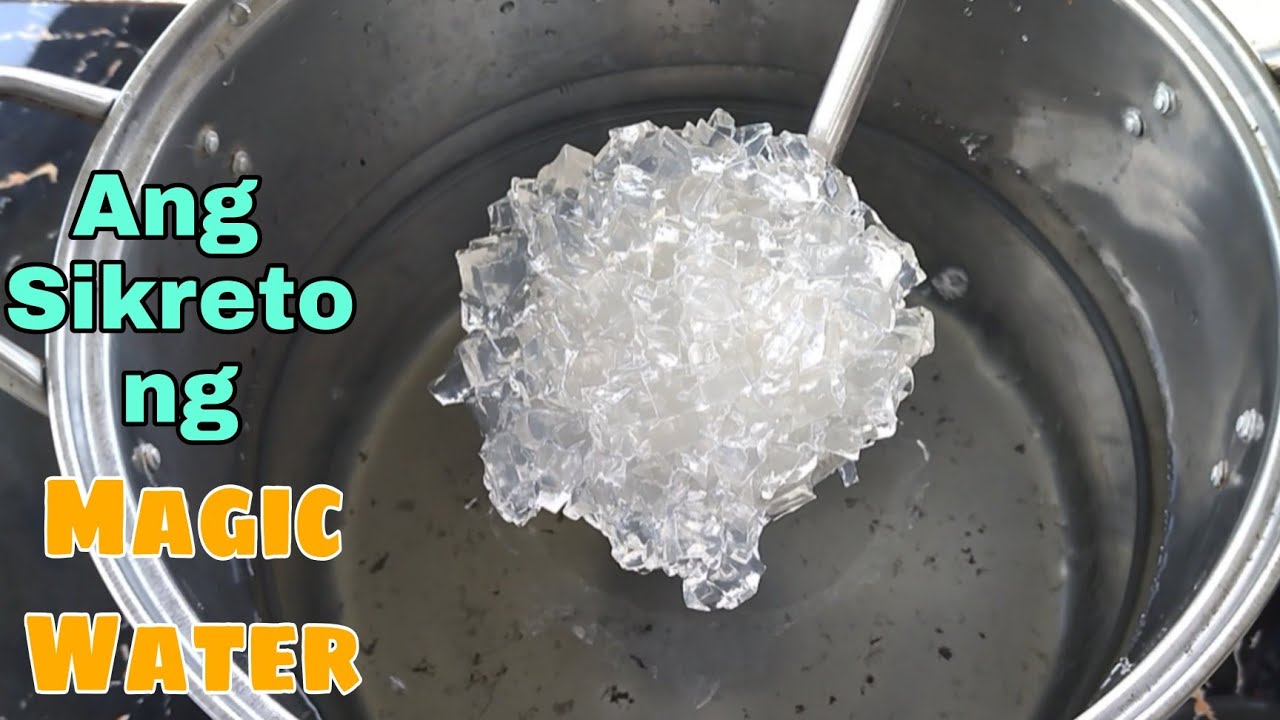 THE SECRET OF MAGIC WATER | MAGIC PALAMIG