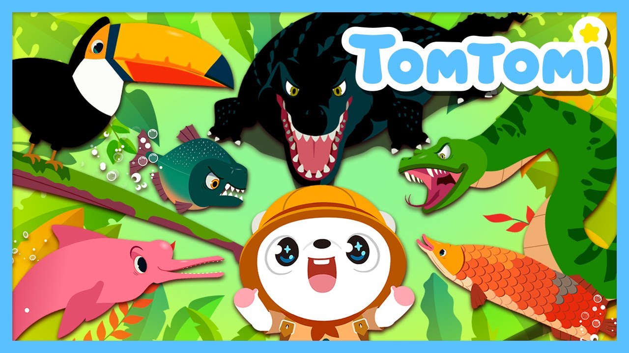 Animales Del Amazonas 🐬 | Canciones de Animales | Canciones Infantiles | TOMTOMI en español