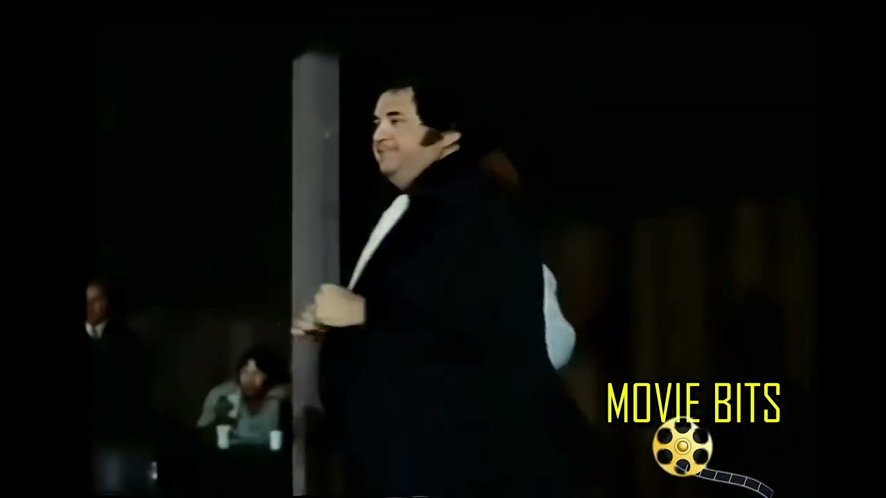 HOOCH (1977) Gil Gerard and Danny Aiello fight scene!