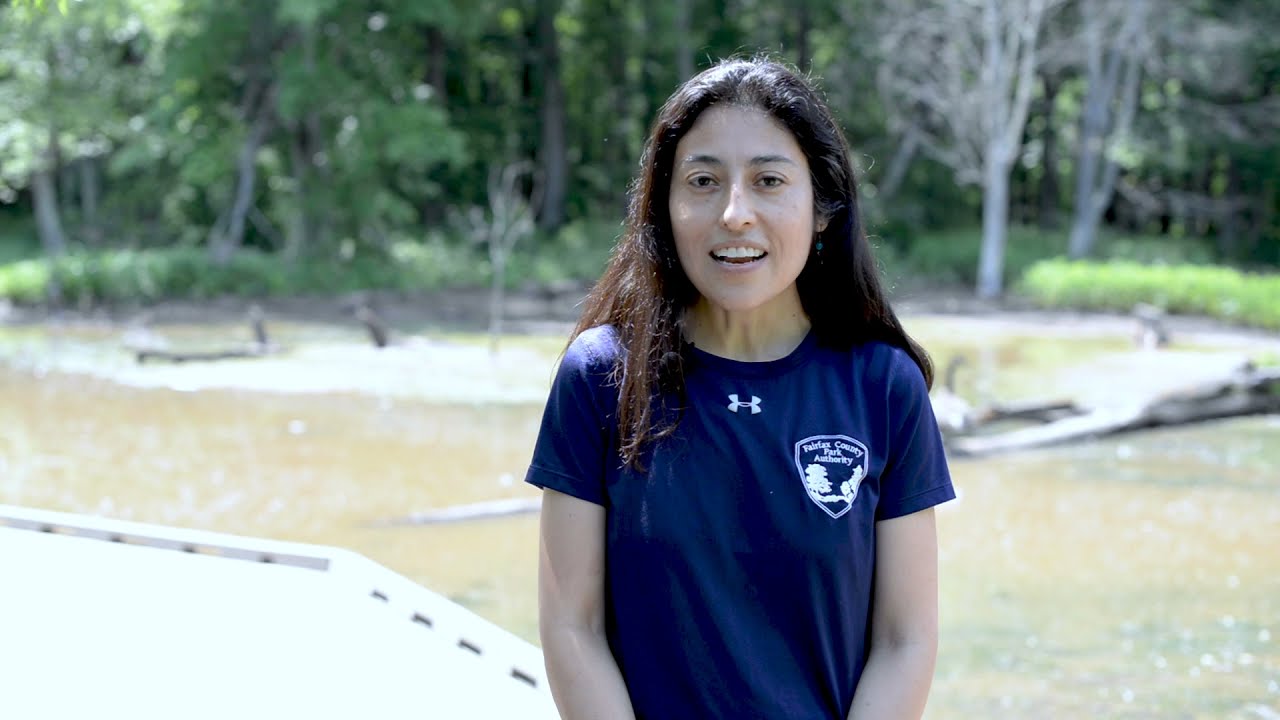 Fairfax County Wetland Ecosystem (Español)