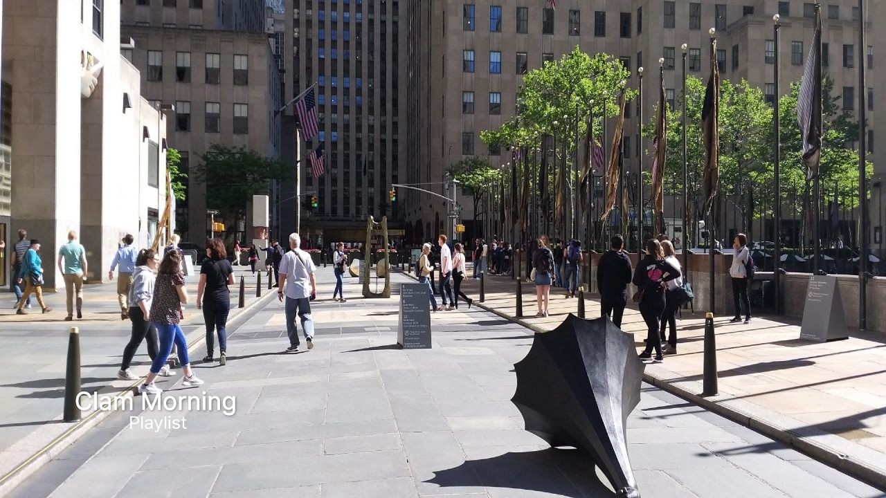 Calm Morning Playlist | Soft Indie Pop for Coffee & Focus | 1 Hour