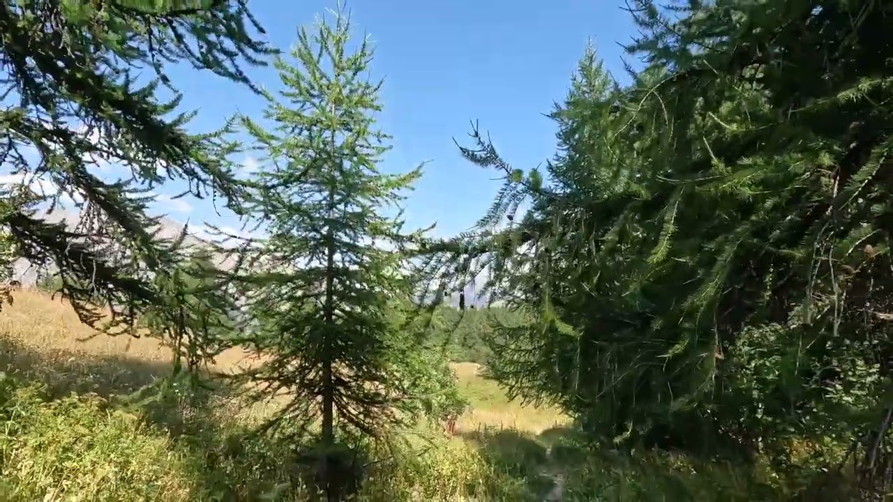 Marche silencieuse, plateau de Tournoux (2022).