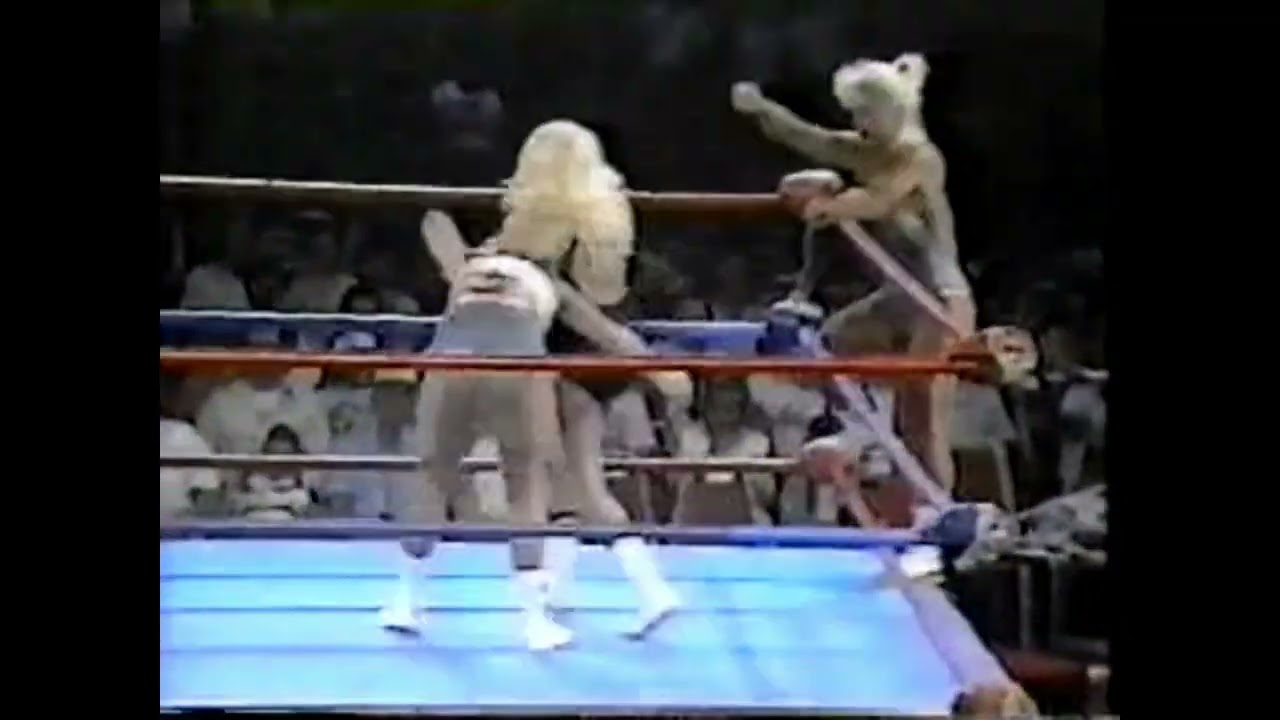 POWW/AWA Wrestling: Brandi Mae & Heidi Lee Morgan vs. Madusa Miceli & Debbie Combs