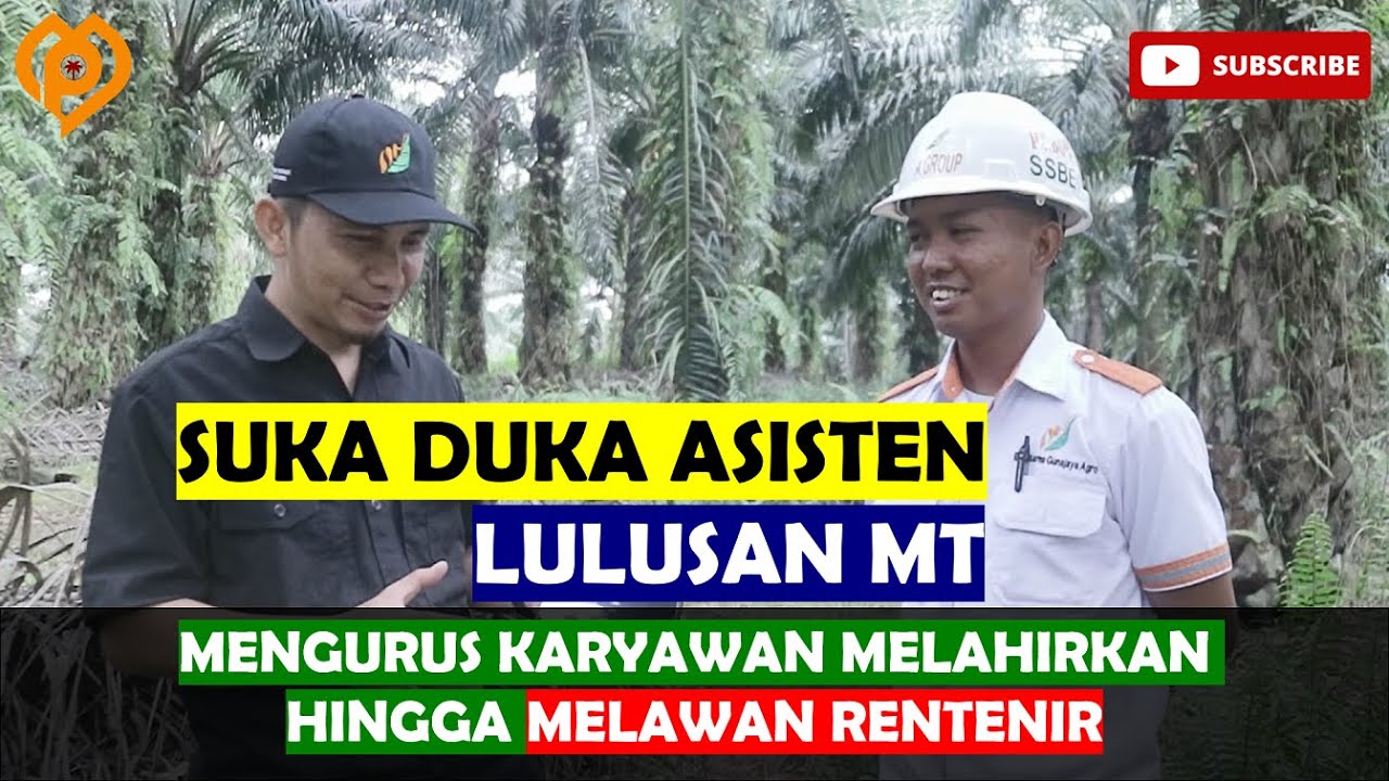 Suka Duka Asisten Kebun Lulusan MT - Hingga Bebaskan Karyawan dari Rentenir