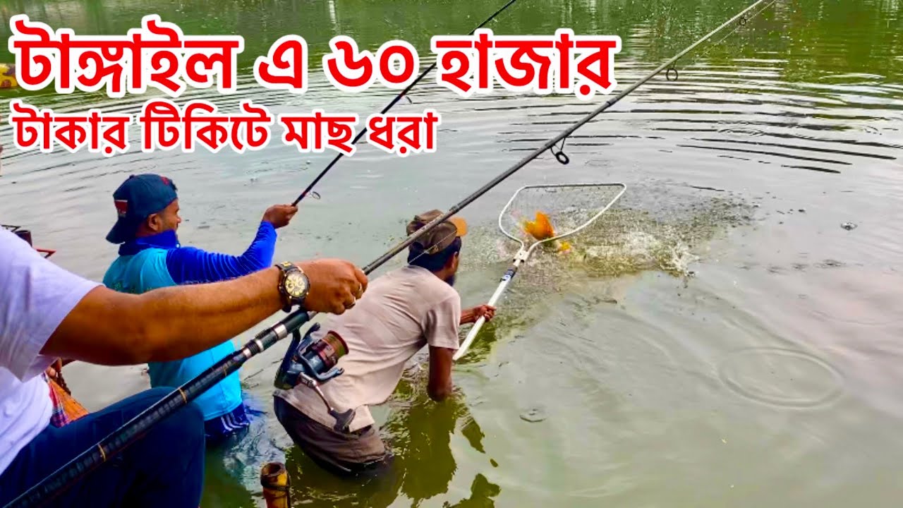টাঙ্গাইলে ৬০ হাজার টাকার টিকিটে মাছ ধরা || Fishing in Tangail for a ticket of 60 thousand taka 2025