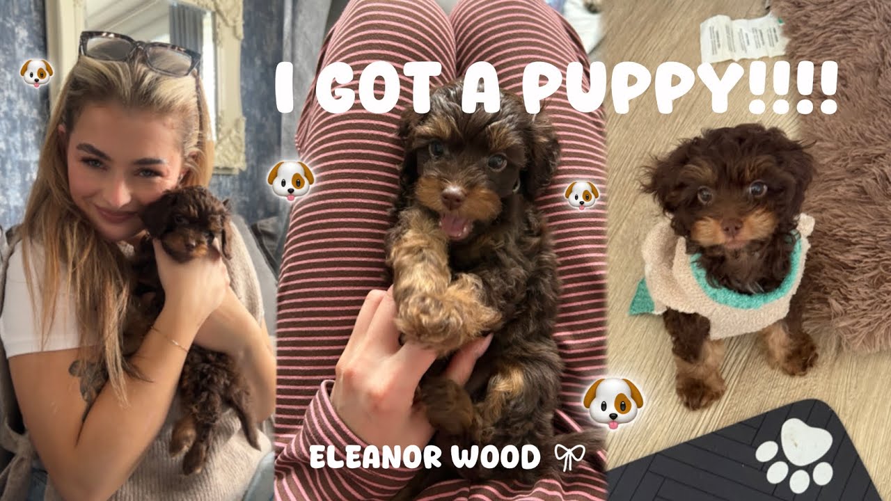 У НАС РОДИЛСЯ ЩЕНОК!!! 🐶 Первая встреча, подготовка и возвращение домой 😭 | byeleanorwood