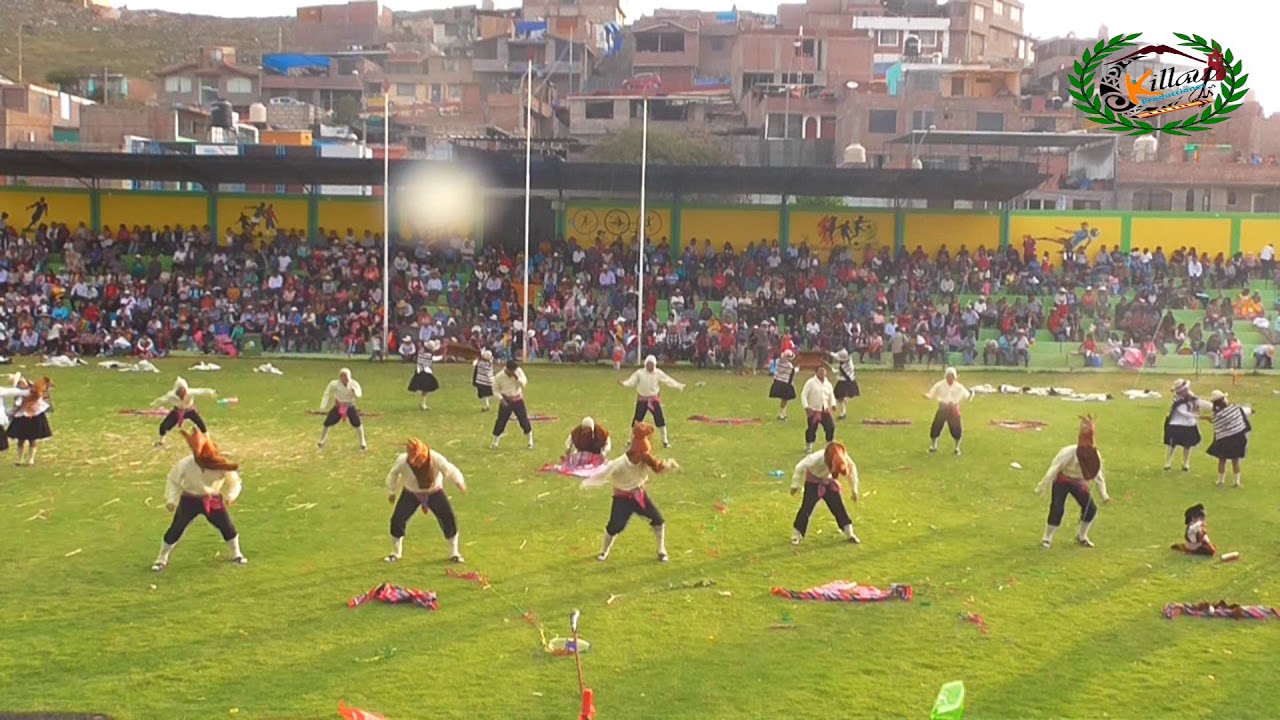 CHAKU DE VICUÑAS - TUPAY WAYNA