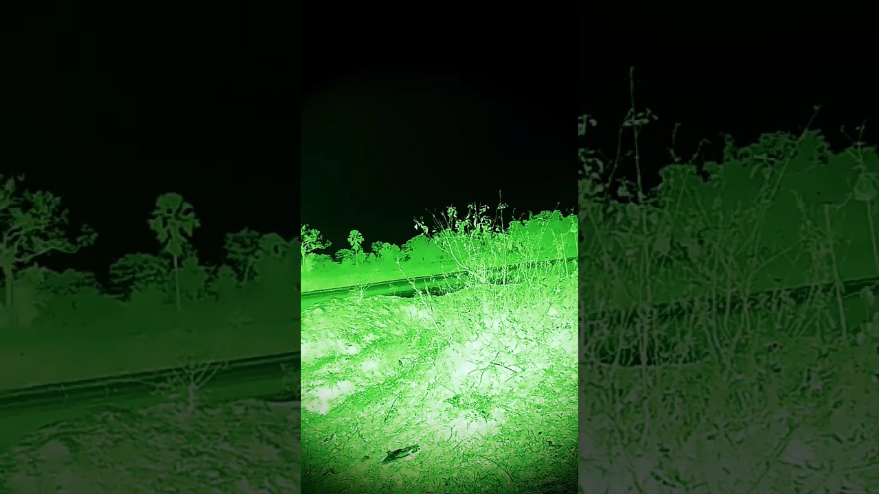 bhoot wala video 