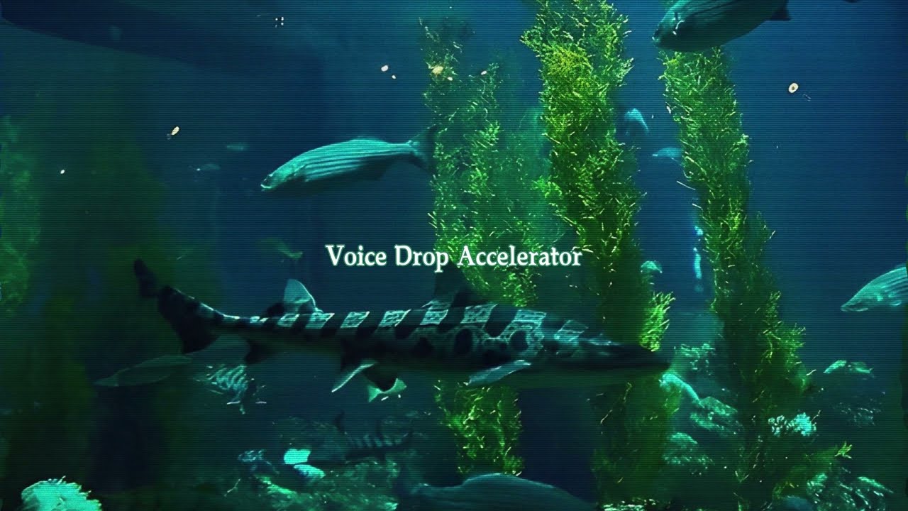 Voice Drop Accelerator | Masculine Voice Subliminal