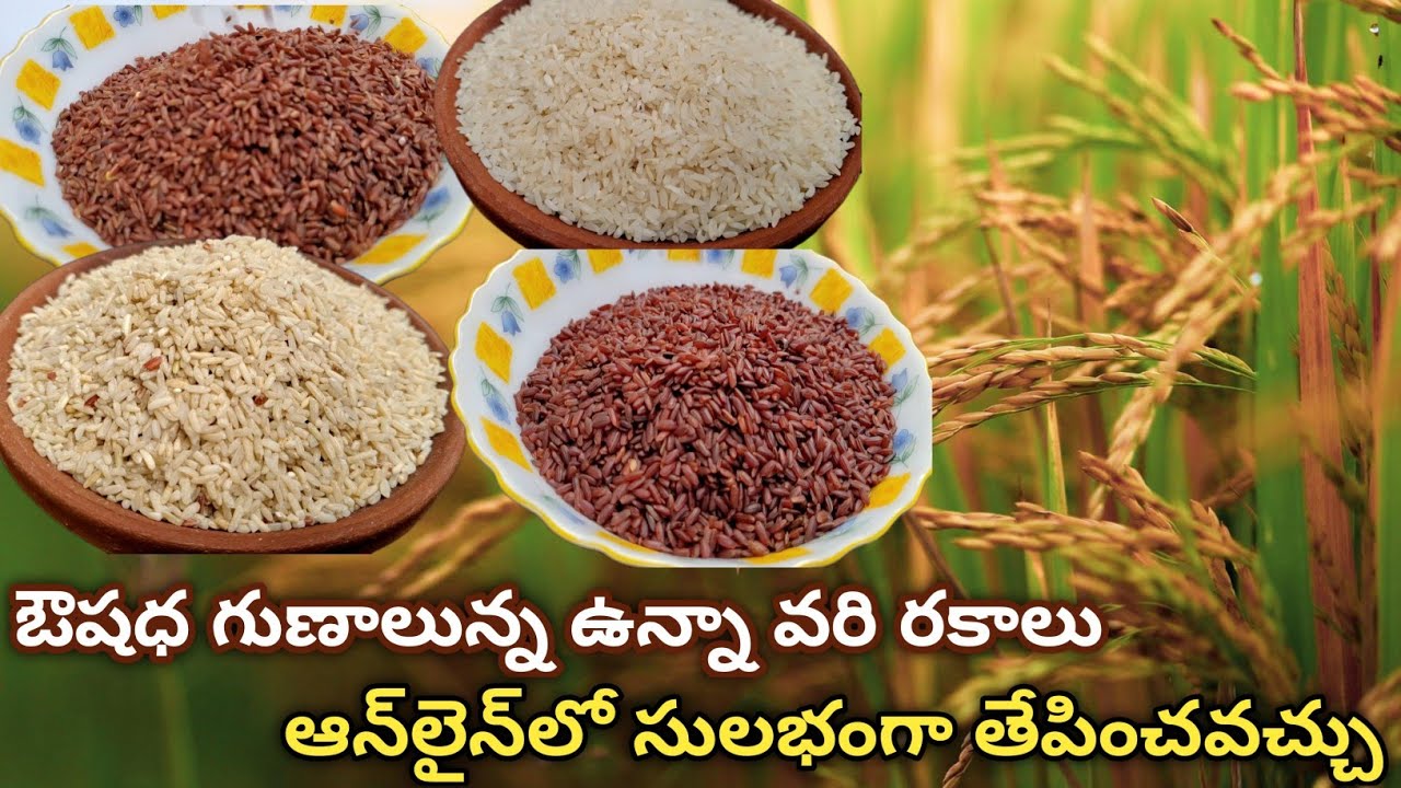 Traditional rice varieties online | organic rice varieties online | medicinal rice varieties online