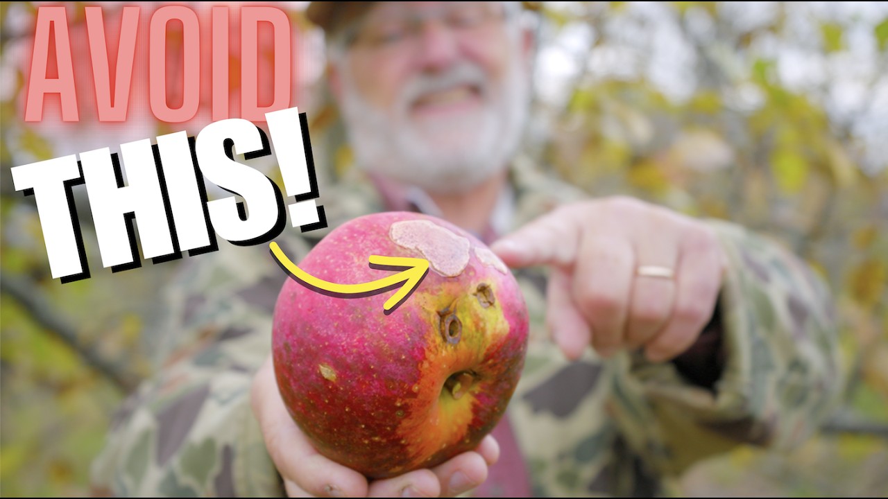 I should have done THIS to my Fruit Trees Years Ago!