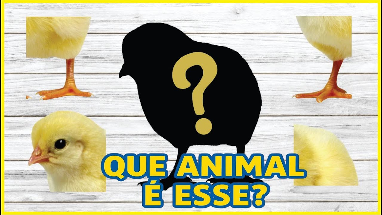 Quebra-cabeça Animais Sombras e Sons - Vaca Cavalo Porco Ovelha Galinha Pinto - Estimulação Infantil