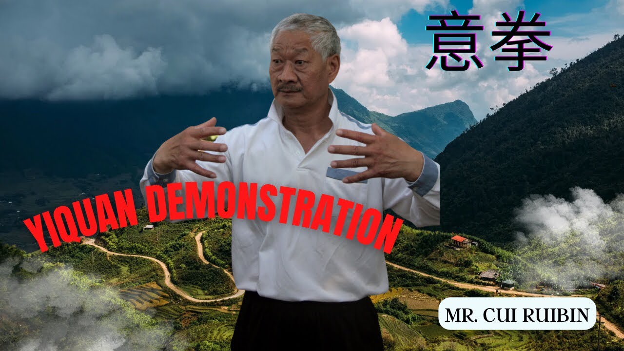 Yiquan Demonstration #yiquan #martialarts #kungfu