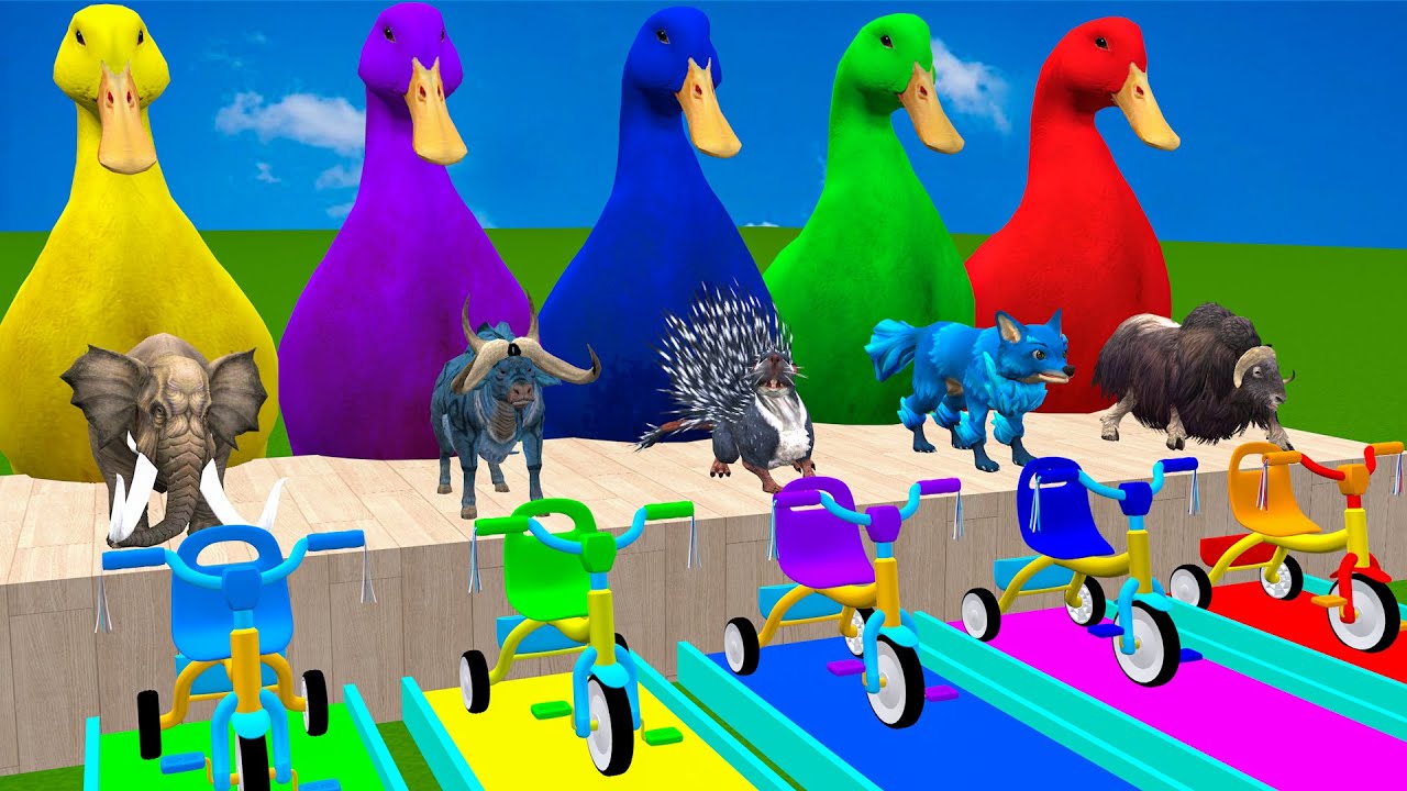 Long Slide Game With Cow Elephant Gorilla Hippopotamus Tiger 3d Animal Game Funny 3d Animals