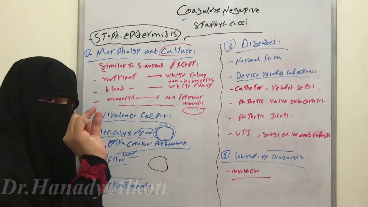 Staph.epidermidis.