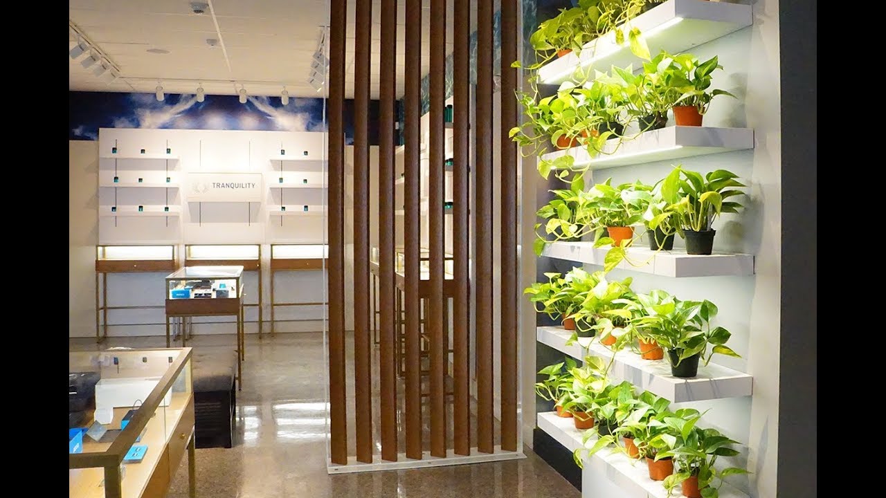 Second Philadelphia marijuana retailer opens in a former Wawa