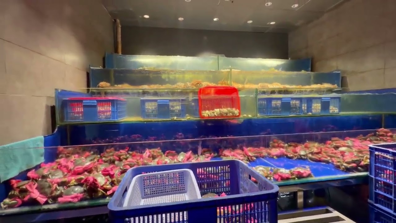Buffet cụ dân long đi ăn buffet cùng gia đình ￼