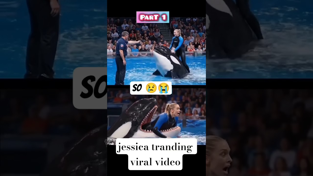 jessica tranding viral video#viralvideo #ytshorts #viralvideo #scary #sad #shark #viralvideo #videos