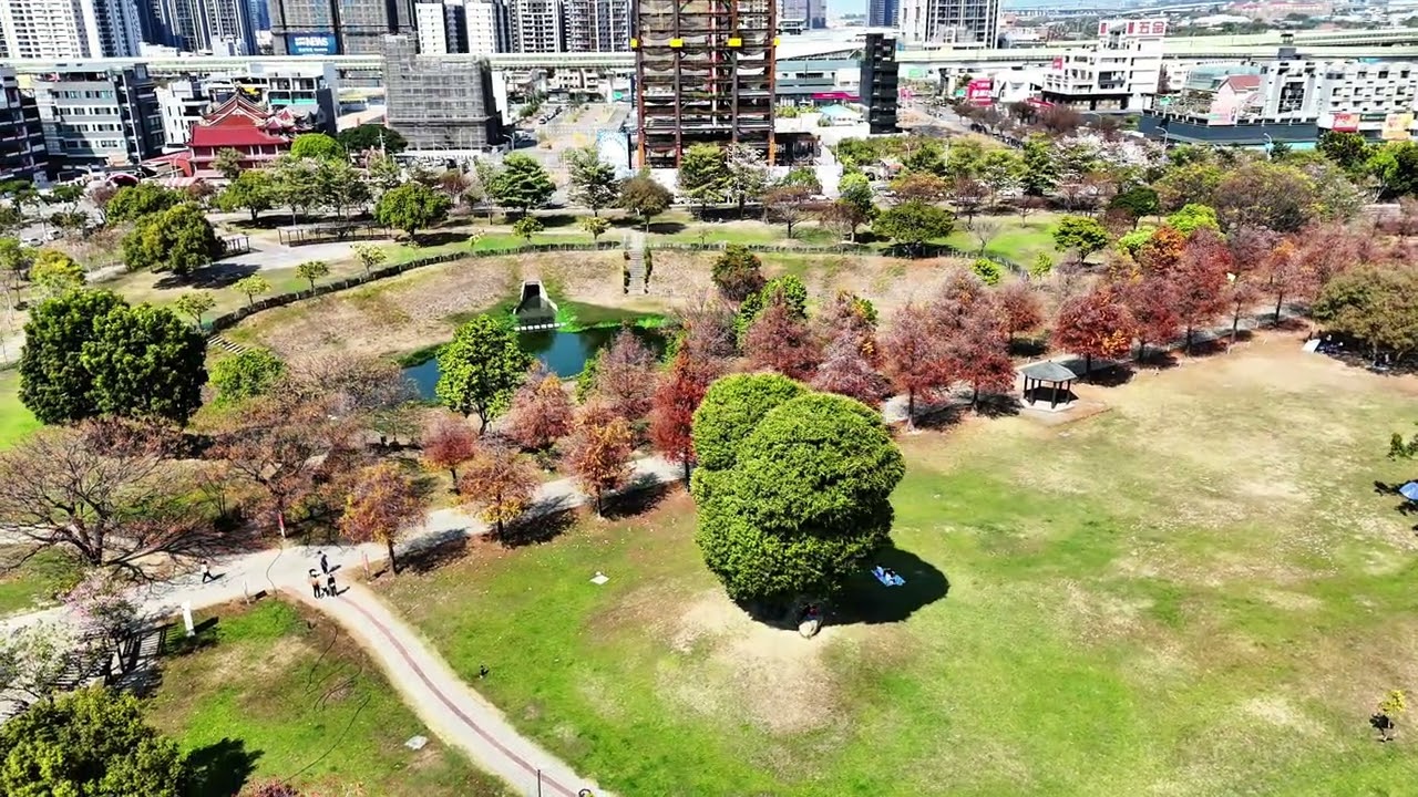 北屯南興公園～米奇樹