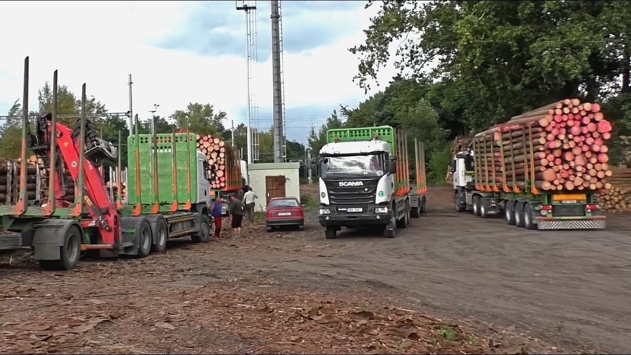 Scania offroad timbertrucks