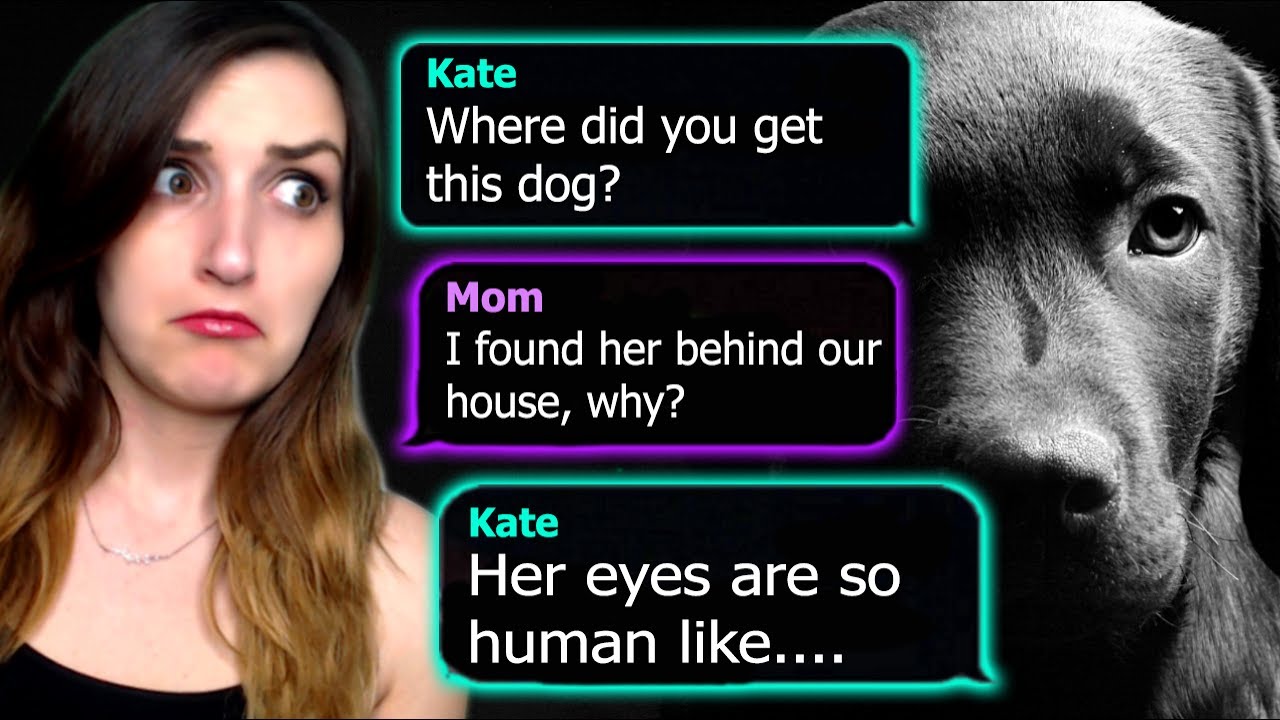 Nothing Better Happen To Any Dogs In This!! | MYSTERY DOG (Text Story)