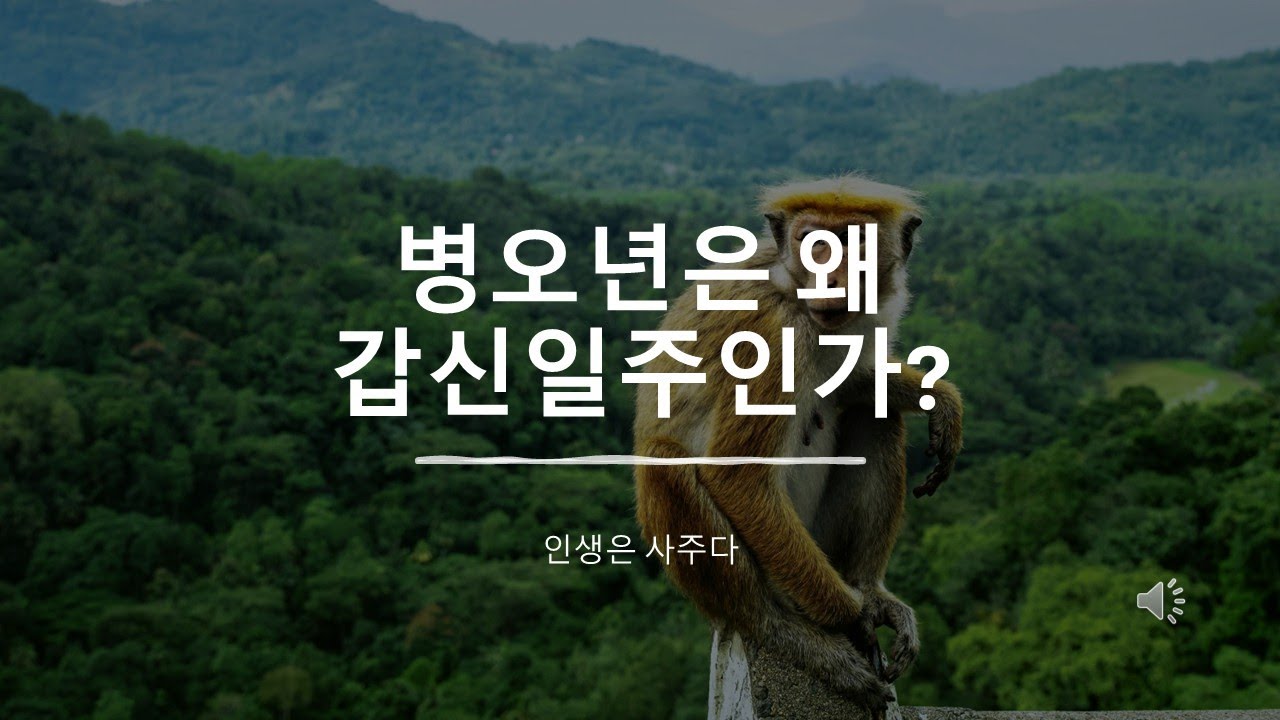 갑신일주에게 병오년은 단순한 해가 아니다.