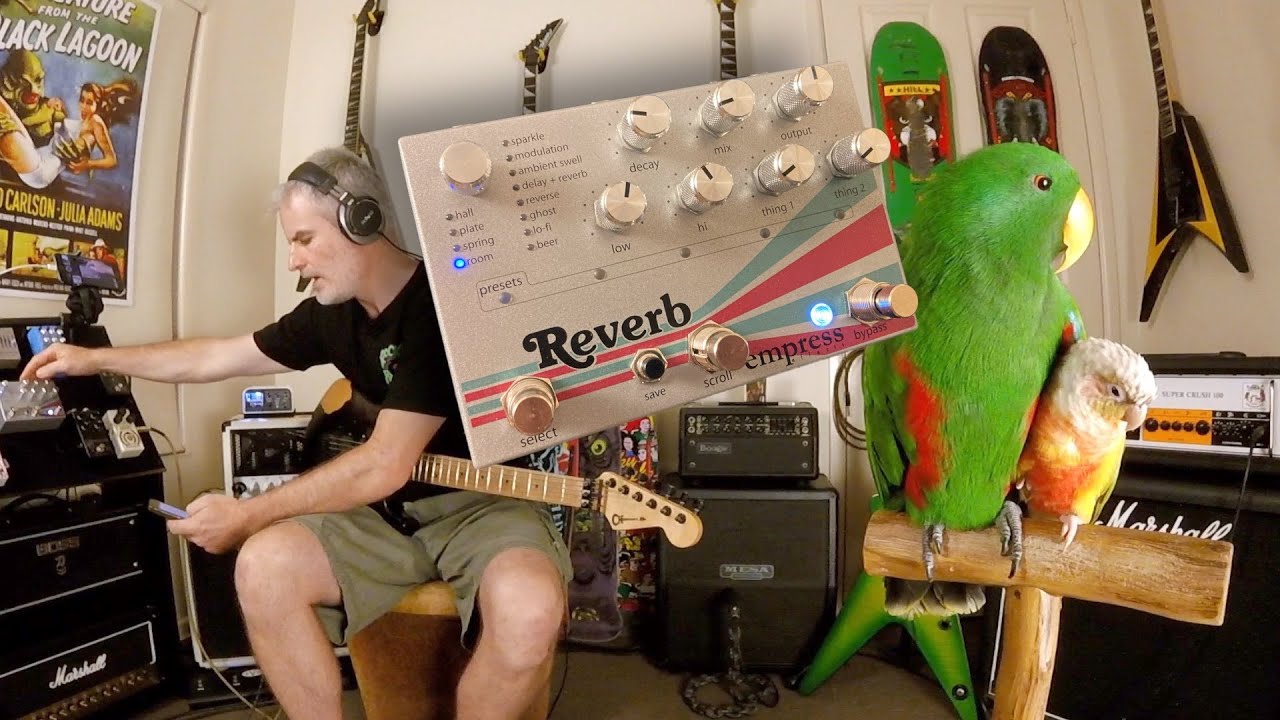 Empress Reverb - What Can't It Do?
