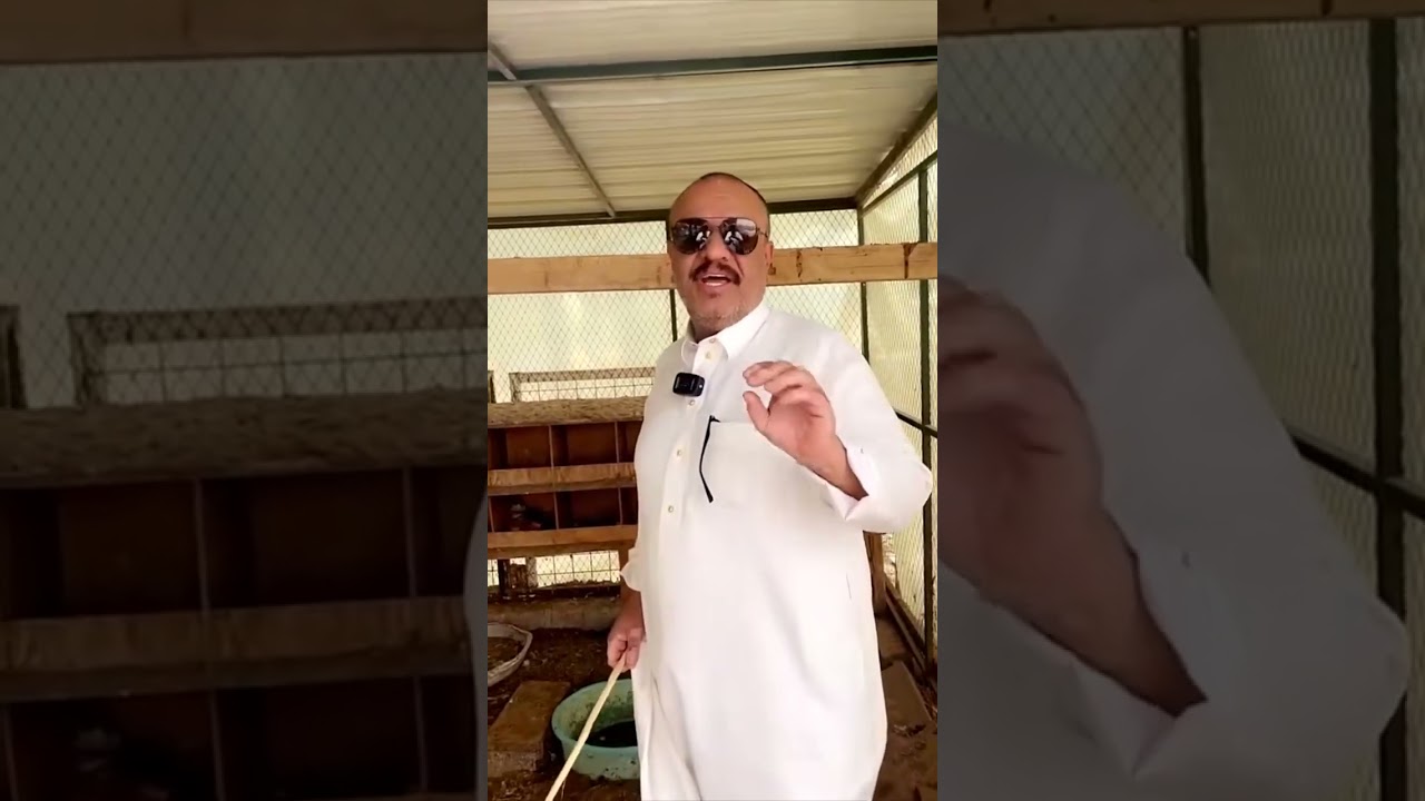 جولة في مزرعة الصلحي