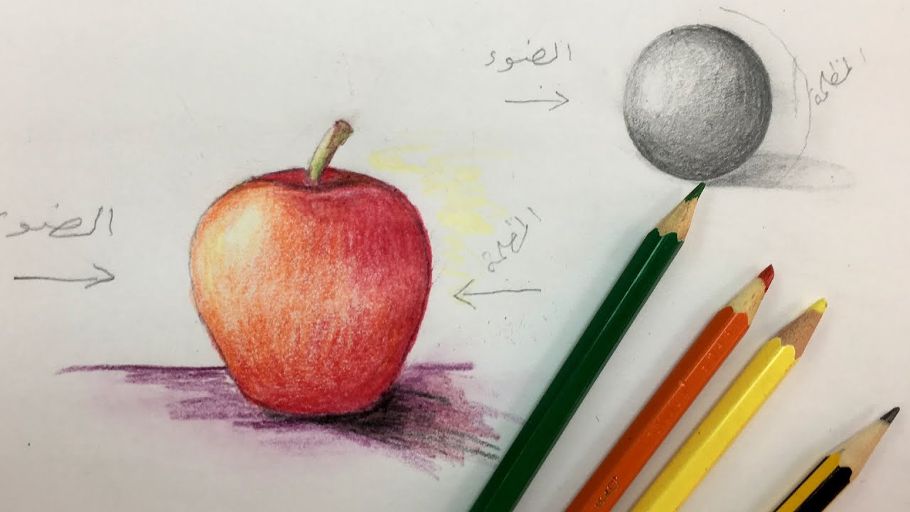 الضوء والظل والثمار الصف الرابع الابتدائي الفصل الاول Ahmed Farhat