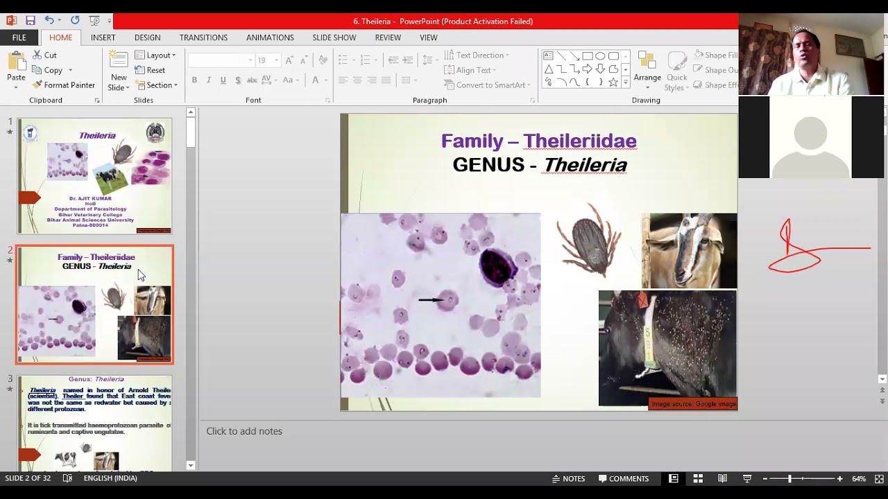 Theileria by Dr. Ajit Kumar, Dept. of Parasitology, BVC, Patna